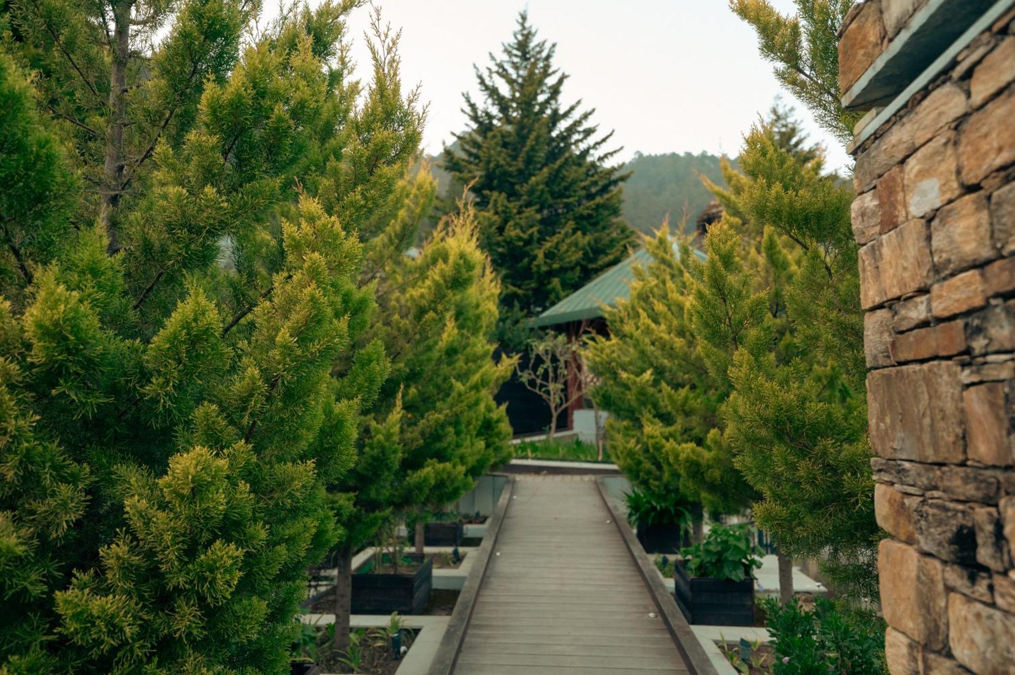 Brij Atmanya Bhowali, Nainital, A Luxury Mountain Escape Zewnętrze zdjęcie